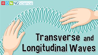 Transverse and Longitudinal Waves [upl. by Itsud]