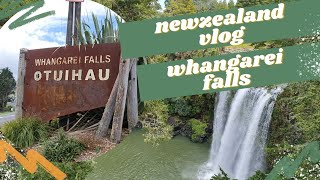 🇳🇿뉴질랜드vlog뉴질랜드관광지 왕가레이폭포같이가보실래요🏞 whangarei falls 카우리숲산책🌳 뉴질랜드 그린홍합해물짬뽕만들기🦪🥘 [upl. by Shrier]