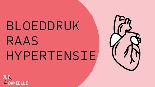 Bloeddruk RAAS en hypertensie [upl. by Teilo]