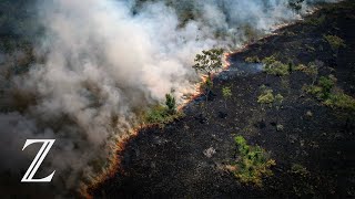 Das Amazonasgebiet brennt so stark wie zuletzt vor über 10 Jahren [upl. by Latsirk]