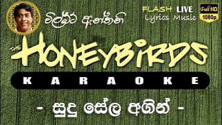 Sudu Sela Agin Karaoke Without Voice සුදු සේල අගින් කැරෝකේ [upl. by Hiller]