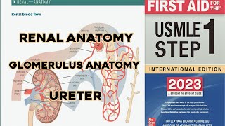 renal anatomy  glomerulus anatomy and ureters  USMLE lecture in Urdu and hindi [upl. by Marquez941]