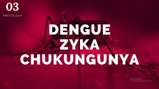 Dengue Zyka y Chikungunya  ENARM [upl. by Anaitsirhc]