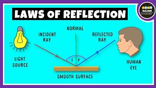 Laws of Reflection of Light Physics [upl. by Gayel295]