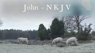 The Book of John  New King James Version NKJV  Audio Bible [upl. by Valeria]