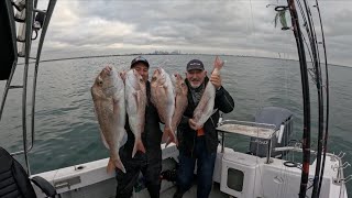 Big Melbourne snapper fishing Port Phillip Bay [upl. by Tchao]