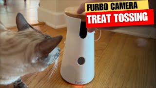 Furbo Dog and Cat Camera and Treat Tossing Review [upl. by Graner542]