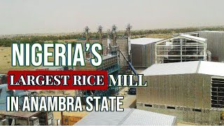 Nigerias largest Rice mill in Anambra State [upl. by Joanne]