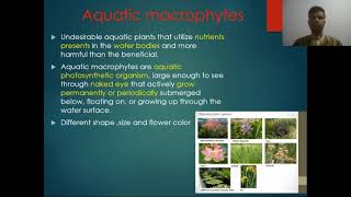 aquatic macrophytes part 1 [upl. by Okun]