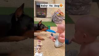 Baby or dog 💪 dog baby pets petlovers puppy love yttrending viralvideo [upl. by Arodoeht243]