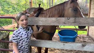 HORSE CAMPING at Sandaraska Park Ontario [upl. by Augusto]