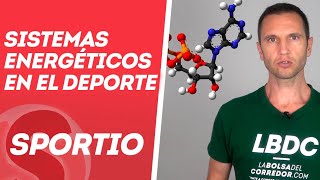 Sistemas energéticos en el deporte [upl. by Dowzall582]