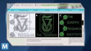 Biocomputer Decodes Images from DNA [upl. by Zenas]