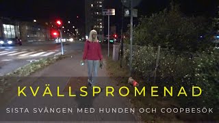 20240918 KVÄLLSPROMENAD  En sista sväng med hunden och hämtar Temupaket hos Coop [upl. by Tahp314]