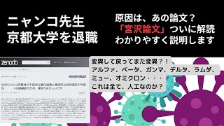 【宮沢先生京都大学退職の衝撃】悲しいので、トリガーとなっただろう論文「宮沢論文」を解読してみる。＊間違えてたらすみません [upl. by Amesari957]