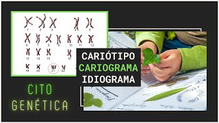 Cariótipo Cariograma Idiograma e citogenética de árvores [upl. by Jolene]