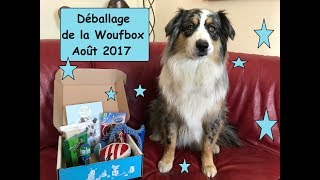 Déballage de la woufbox aout 2017 [upl. by Aliahkim]