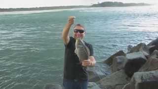 Luderick at the Noosa River mouth [upl. by Mortimer]