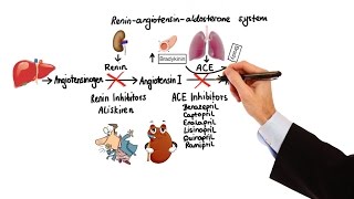 Pharmacology  HYPERTENSION amp ANTIHYPERTENSIVES MADE EASY [upl. by Aeneg671]