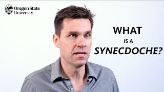 quotWhat is a Synecdochequot A Literary Guide for English Students and Teachers [upl. by Abert432]