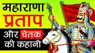 भारतीय इतिहास का महा पराक्रमी घोड़ा चेतक Chetak Horse of Maharana Pratap shorts facts yt [upl. by Helsa]