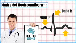 Ondas del Electrocardiograma  ▷ Como leer un EKG paso a paso [upl. by Ainatnas]