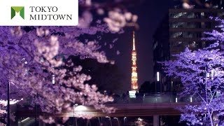 【春イベント】MIDTOWN BLOSSOM 2018  ミッドタウン・ブロッサム   東京ミッドタウン公式 TOKYO MIDTOWN OFFICIAL [upl. by Lewert407]