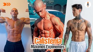 Top 5 Máximos exponentes de la CALISTENIA [upl. by Vinni]