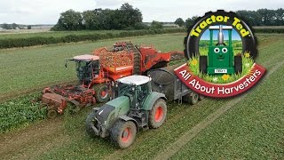 Trailer Tractor Ted All About Harvesters [upl. by Yaner488]