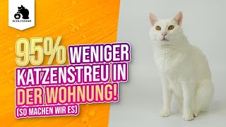 🔥 95 WENIGER KATZENSTREU in der Wohnung Katze verteilt Katzenstreu überall  was tun [upl. by Frere867]