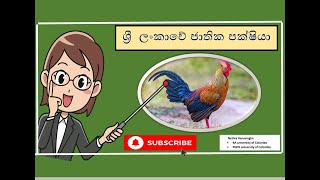 Jathika pakshiyaජාතික පක්ෂියා [upl. by Tiras]