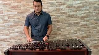 Caballito Nicoyano Cover Marimba [upl. by Icaj]