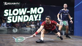 The spin the tweener the retrievals Asal v Masotti  SlowMo Sunday 🎥 [upl. by Jankey640]