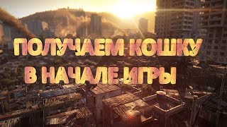 Dying Light Как получить Крюк Кошку в самом начале игры [upl. by Rambow]