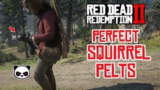 Red Dead Redemption 2 How To Get Perfect Squirrels 3 Stars Perfect Pelts [upl. by Renzo979]