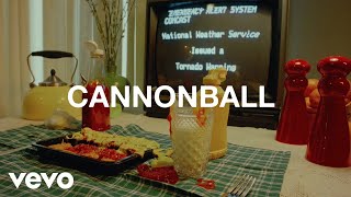 Michigander  Cannonball Official Music Video [upl. by Natka]