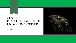 Gendrift Flaschenhalseffekt und Gründereffekt [upl. by Niajneb746]