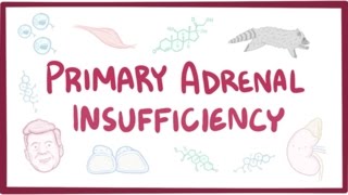 Primary adrenal insufficiency Addisons disease  pathology symptoms diagnosis treatment [upl. by Girardo835]