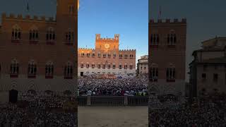 Palio Siena 2024 [upl. by Eillah]