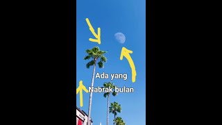 Penampakan jelas meteor menabrak bulan😱 Sampai terlihat dari Bumi [upl. by Eylrahc754]