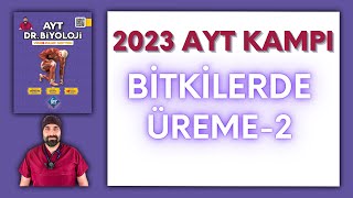 Bitkilerde Üreme2 AYT Biyoloji Kampı Konu Anlatımı 12Sınıf 2024 Tayfa [upl. by Maguire545]