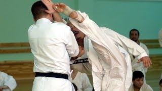 Seiji Nishimura Seminar in Moscow 2010 Kicking Techniques [upl. by Lamoree267]