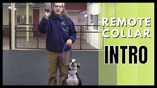 Remote Collar Introduction [upl. by Ettenaej]