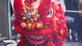 Lion Dance Chinatown 2019 Antwerp Chinese newyear [upl. by Sherm652]