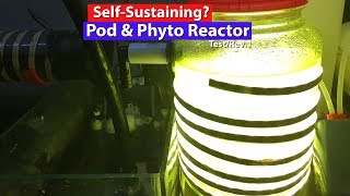 Self Sustaining Pod and Phytoplankton culture  DIY Phytoplankton Reactor1 Test 1 [upl. by Aicenek]