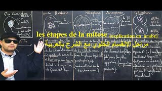 A6مراحل الإنقسام الخلوي les étapes de la mitose SVT [upl. by Doowron26]