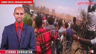 OMN ODUU AFAAN OROMO JAN102018 [upl. by Roze256]