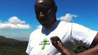 Carbon Offsetting  Kenya Reforestation [upl. by Eenaj]