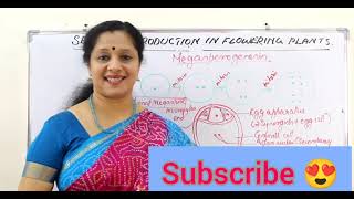 Sexual Reproduction In Flowering Plants  Part2 Malayalam Megasporangium Mega sporogenesis [upl. by Ihp]