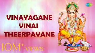 Vinayagane Vinay Theerpavane with Lyrics  Dr Sirkazhi S Govindarajan  Devotional songs [upl. by Almeeta]